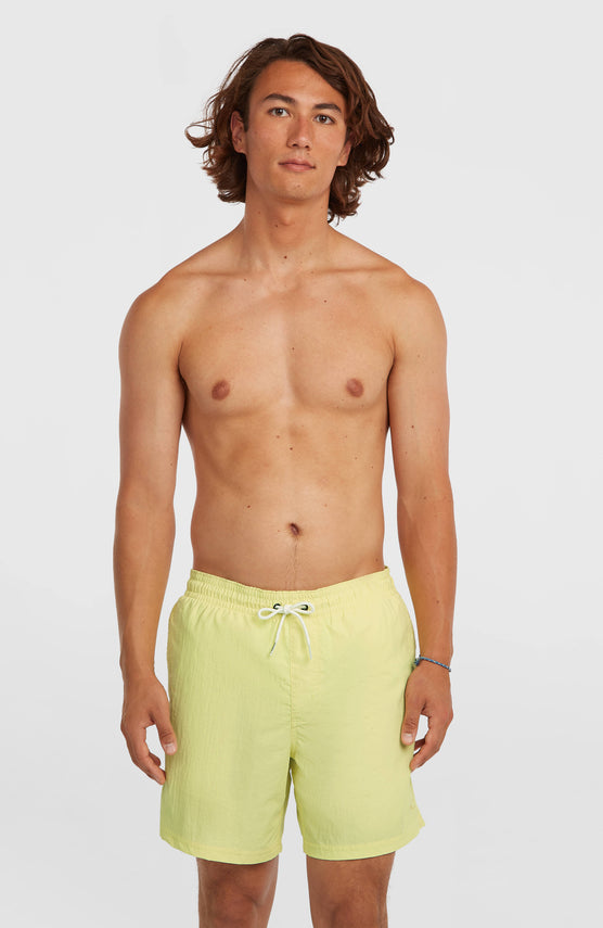 O'Neill Vert 16'' Swimshorts | Rainforest Dew