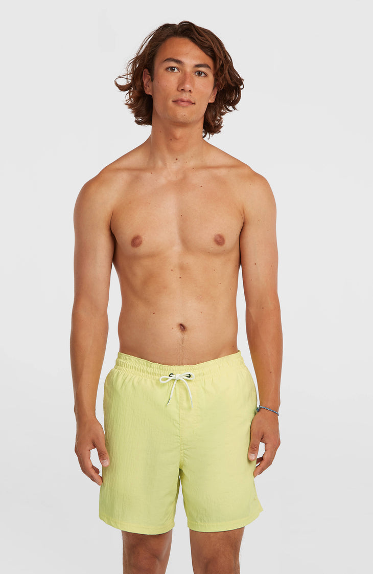 O'Neill Vert 16'' Swimshorts | Rainforest Dew