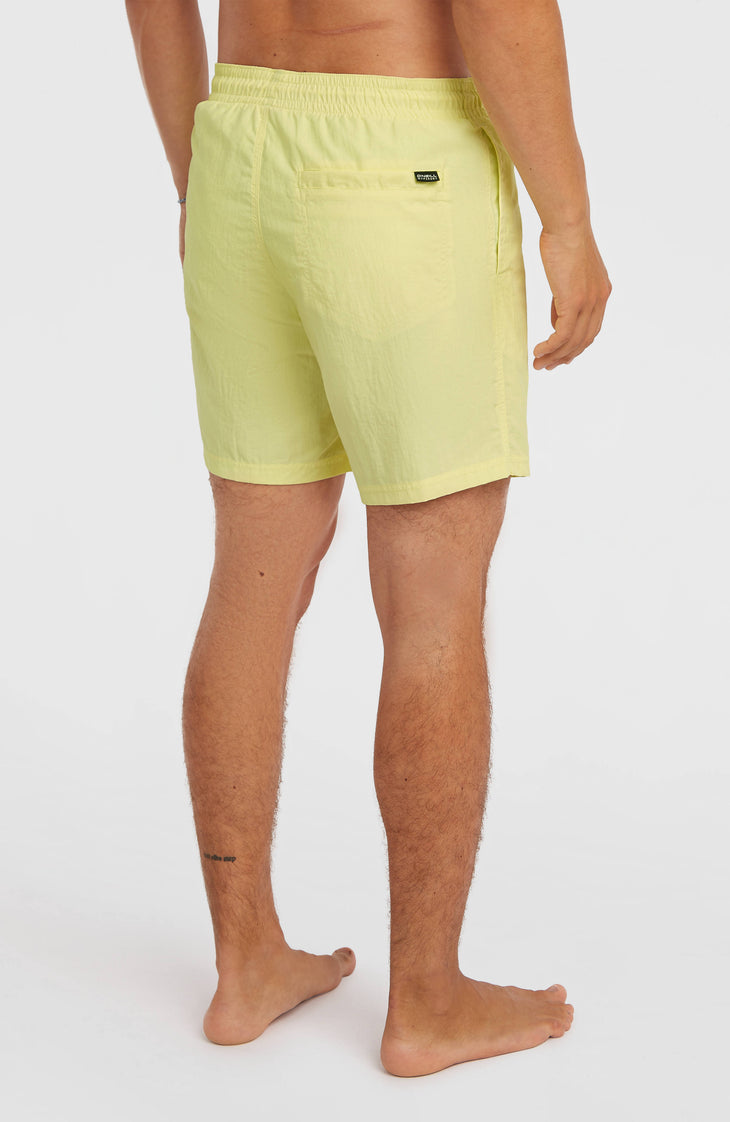 O'Neill Vert 16'' Swimshorts | Rainforest Dew