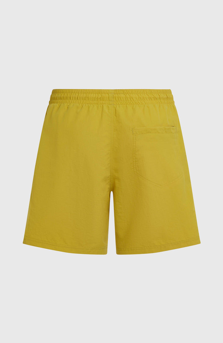 O'Neill Vert 16" Swimshorts | Angel Fern