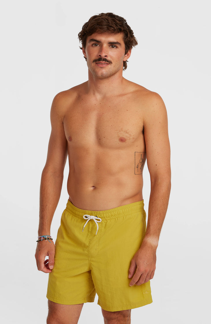 O'Neill Vert 16" Swimshorts | Angel Fern