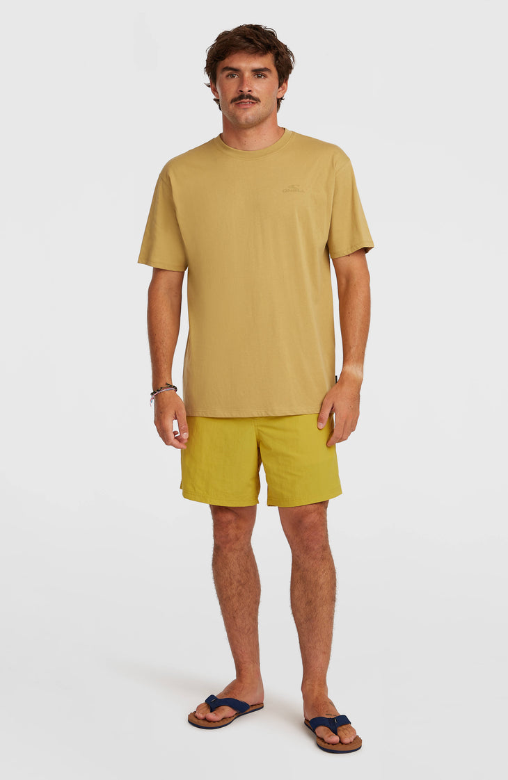 O'Neill Vert 16" Swimshorts | Angel Fern