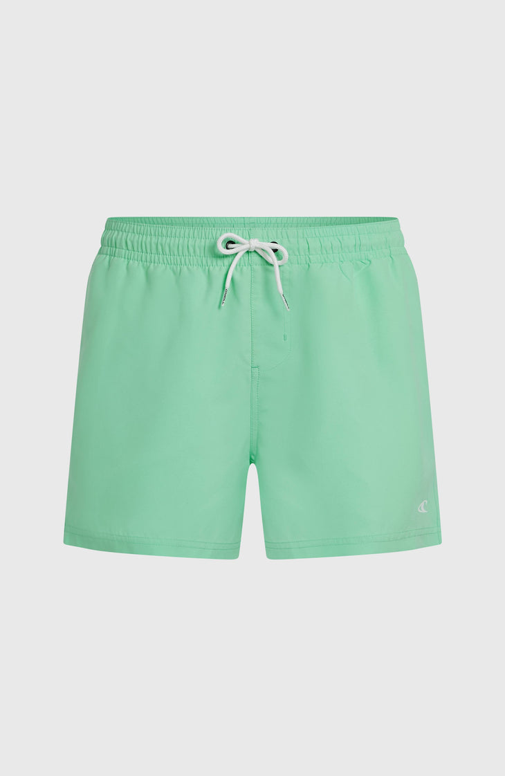 O'Neill Sunny Beach 14" Swimshorts | Antiguan Sky