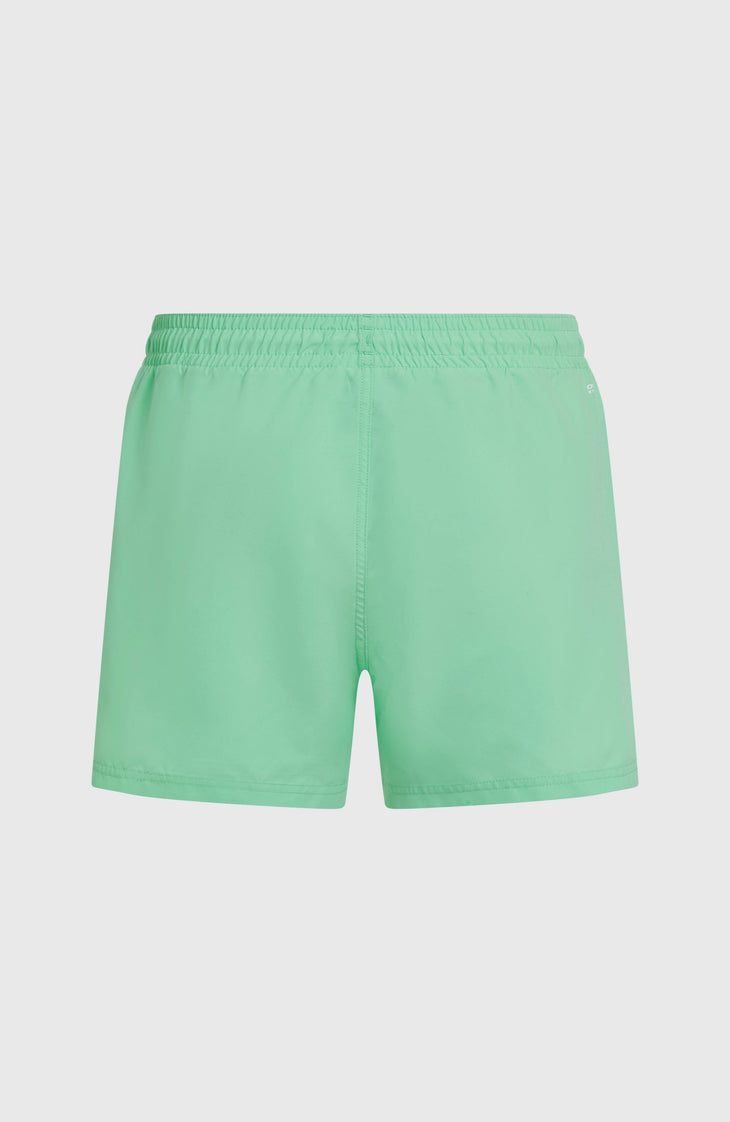 O'Neill Sunny Beach 14" Swimshorts | Antiguan Sky