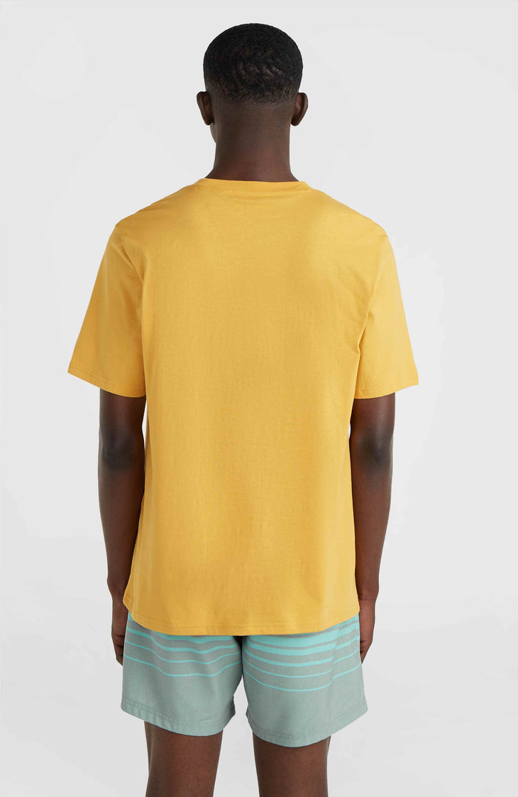 Mix and Match Floral Graphic T-Shirt | Golden Haze