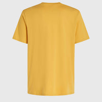 Mix and Match Floral Graphic T-Shirt | Golden Haze