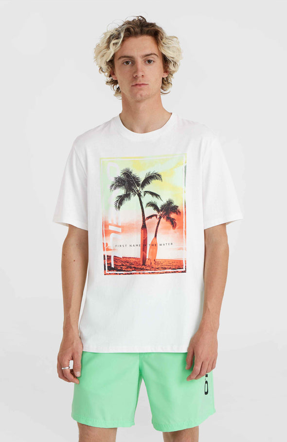 Mens t-shirts | Various styles & High quality! – O'Neill