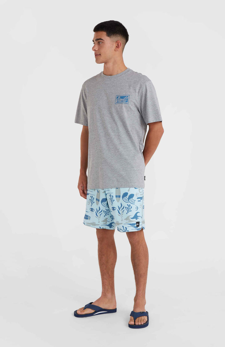 O'Neill Beach Graphic T-Shirt | Silver Melee
