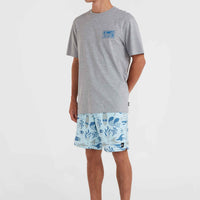 O'Neill Beach Graphic T-Shirt | Silver Melee