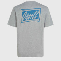 O'Neill Beach Graphic T-Shirt | Silver Melee