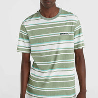 Mix and Match Stripe T-Shirt | Green Bold Stripes