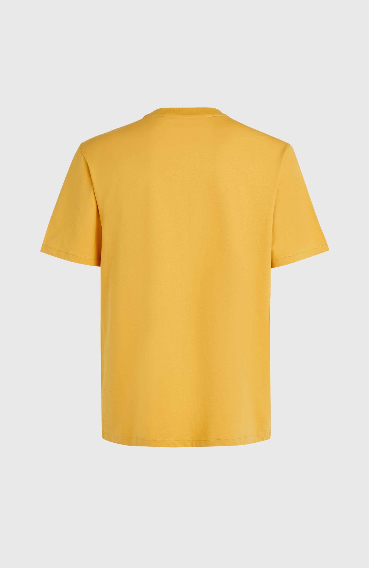 O'Neill Small Logo T-Shirt | Golden Haze