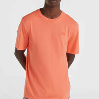 O'Neill Small Logo T-Shirt | Living Coral