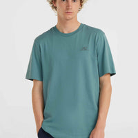 O'Neill Small Logo T-Shirt | North Atlantic