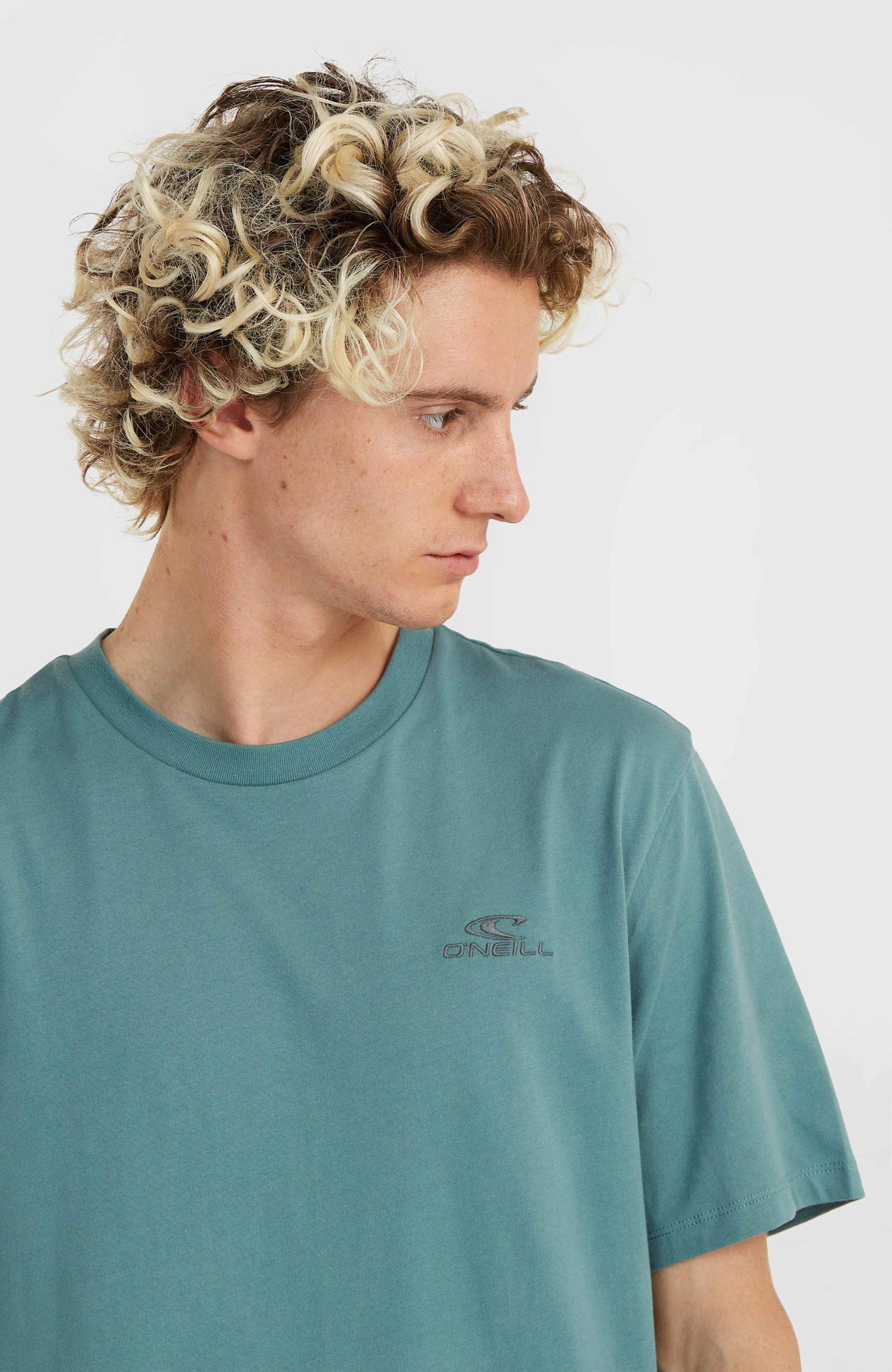 O'Neill Small Logo T-Shirt | North Atlantic