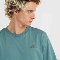 O'Neill Small Logo T-Shirt | North Atlantic