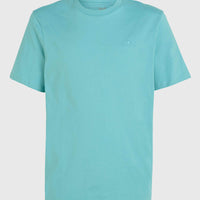 O'Neill Small Logo T-Shirt | Ripling Shores