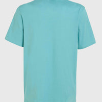 O'Neill Small Logo T-Shirt | Ripling Shores