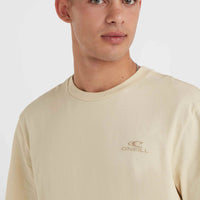 O'Neill Small Logo T-Shirt | Muslin