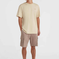 O'Neill Small Logo T-Shirt | Muslin