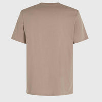 O'Neill Logo T-Shirt | Pumpkin Smoke