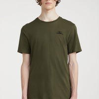 O'Neill Small Logo T-Shirt | Forest Night