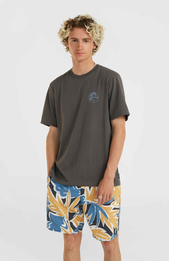 Mens t-shirts | Various styles & High quality! – O'Neill