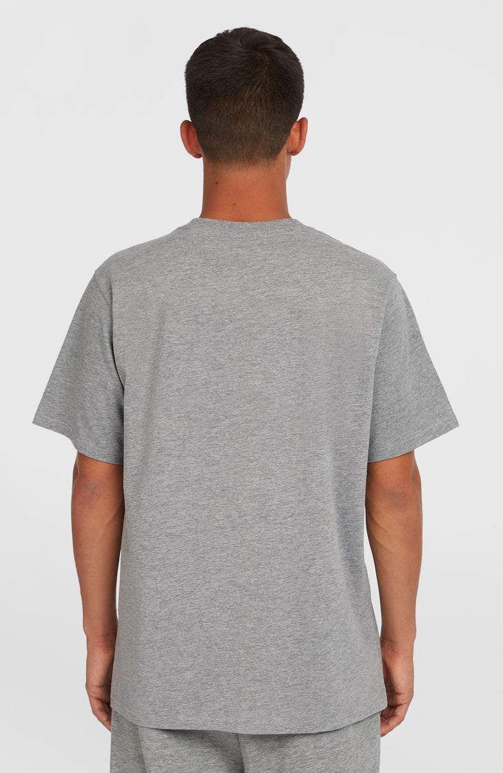 Future Surf Society T-Shirt | Silver Melee