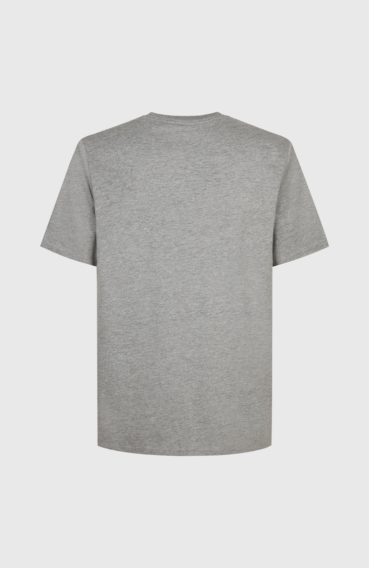 Future Surf Society T-Shirt | Silver Melee