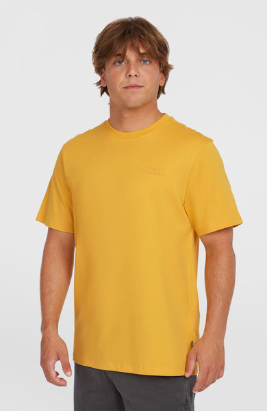 Tシャツ・カットソー Needles SS25 Shirts (QV117 A BEIGE) 2850295_12022_01_MODEL_600x600