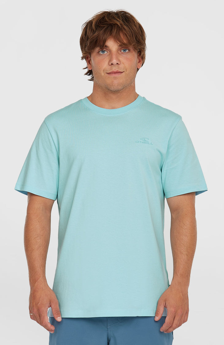 Small Logo T-Shirt | Morning Glory