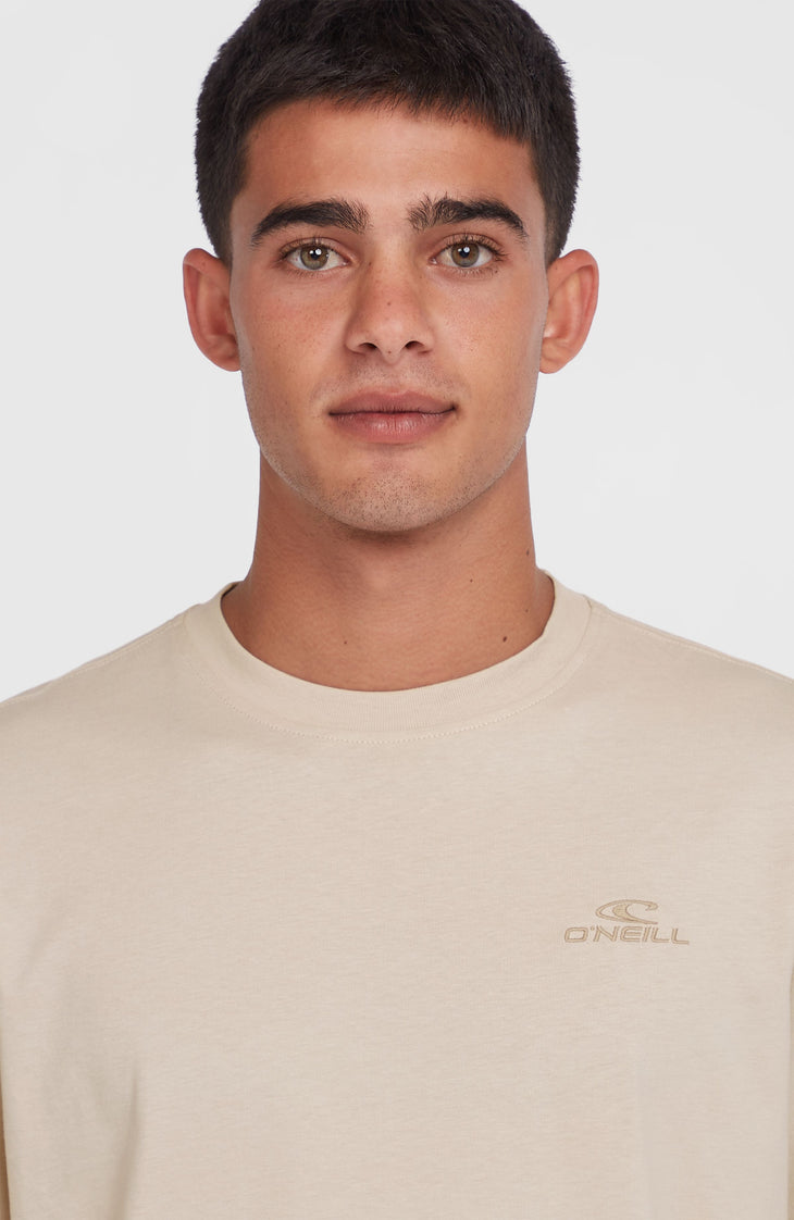 Small Logo T-Shirt | Atmosphere