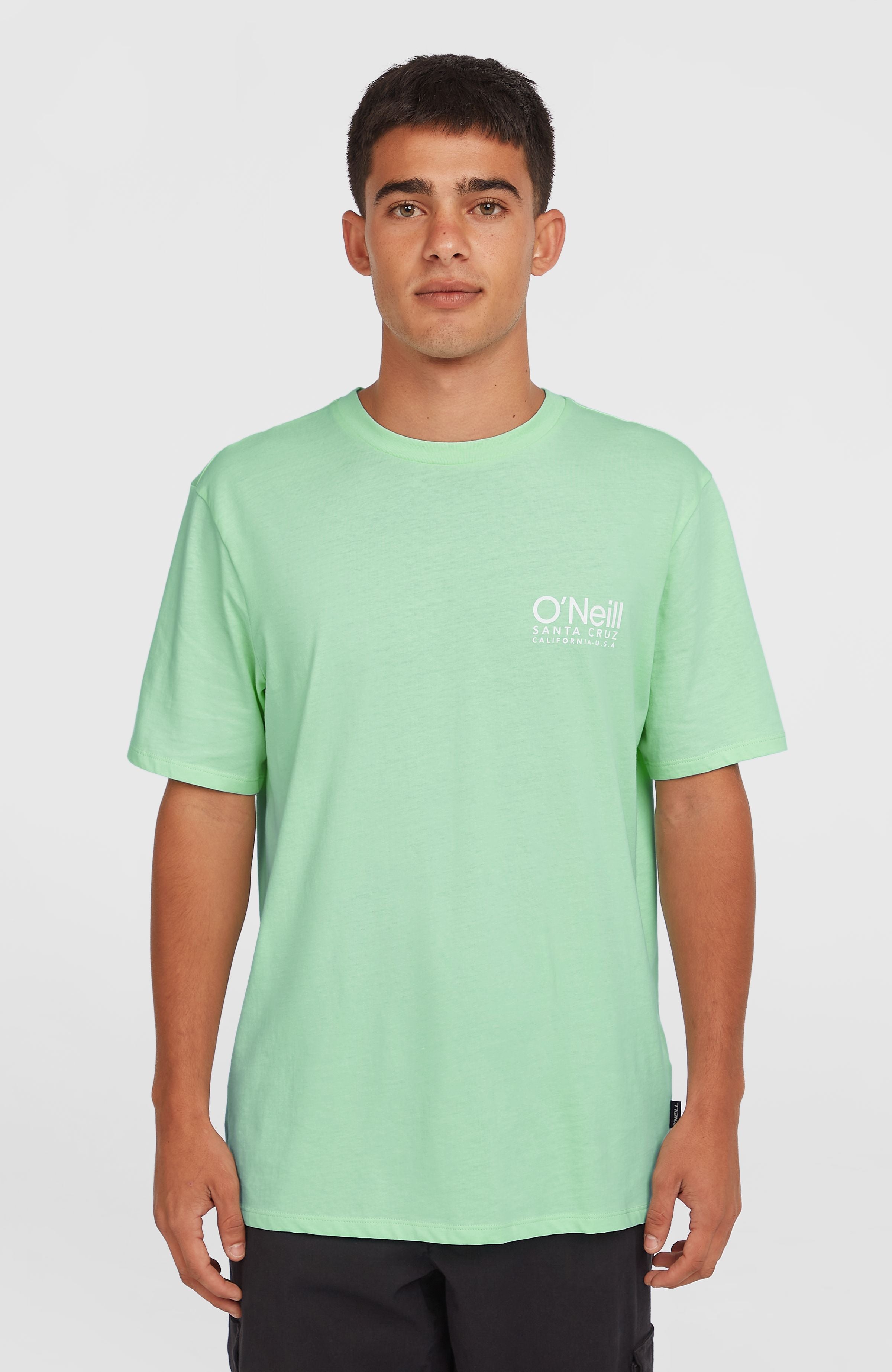 Original Cali Logo T-Shirt | Mildrew Mint – O'Neill