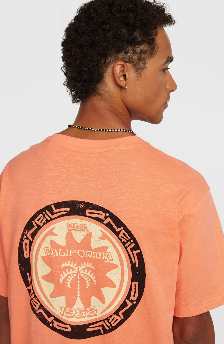 O’Neill Slub Back Print T-Shirt | Funky Peach