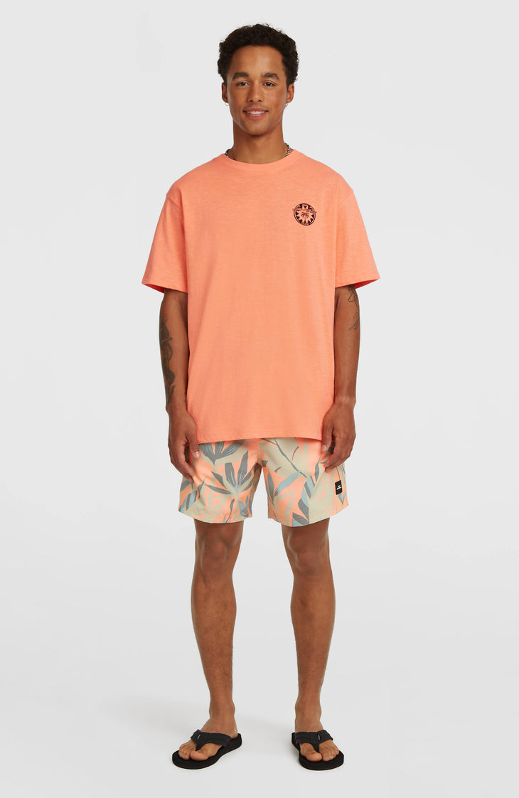 O’Neill Slub Back Print T-Shirt | Funky Peach