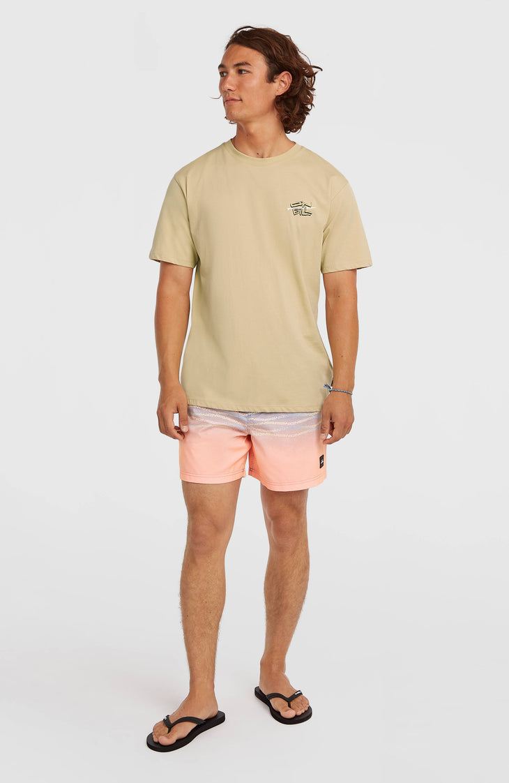 O’Neill Retro Back Print T-Shirt | Cocoa Sand