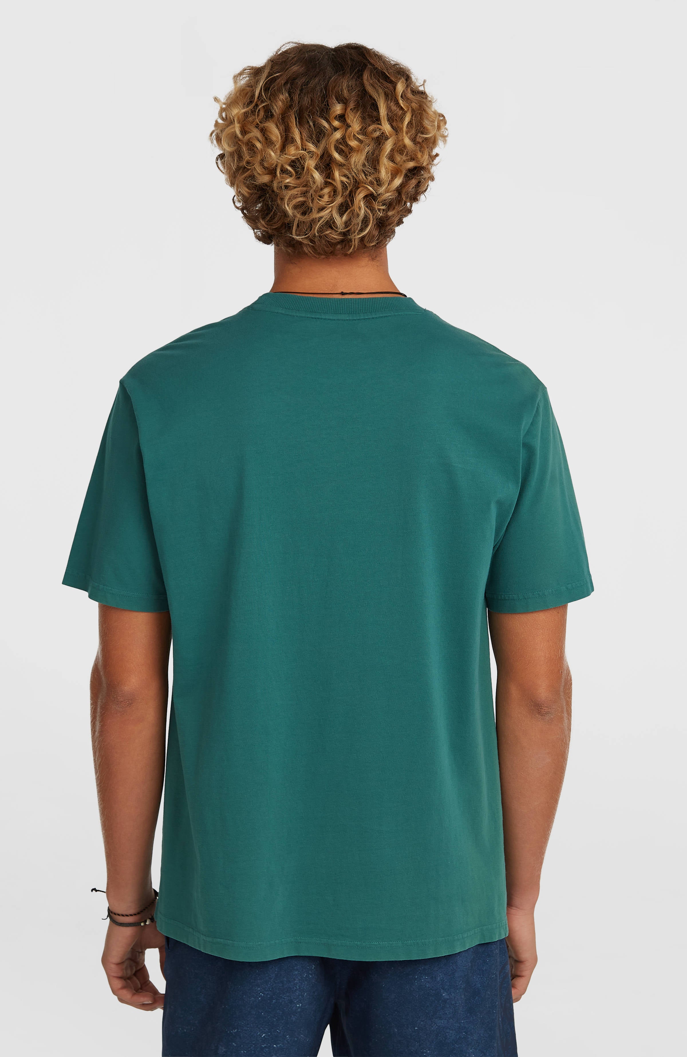 O'Riginals Front-Stripe T-Shirt | Botanical Heat – O'Neill