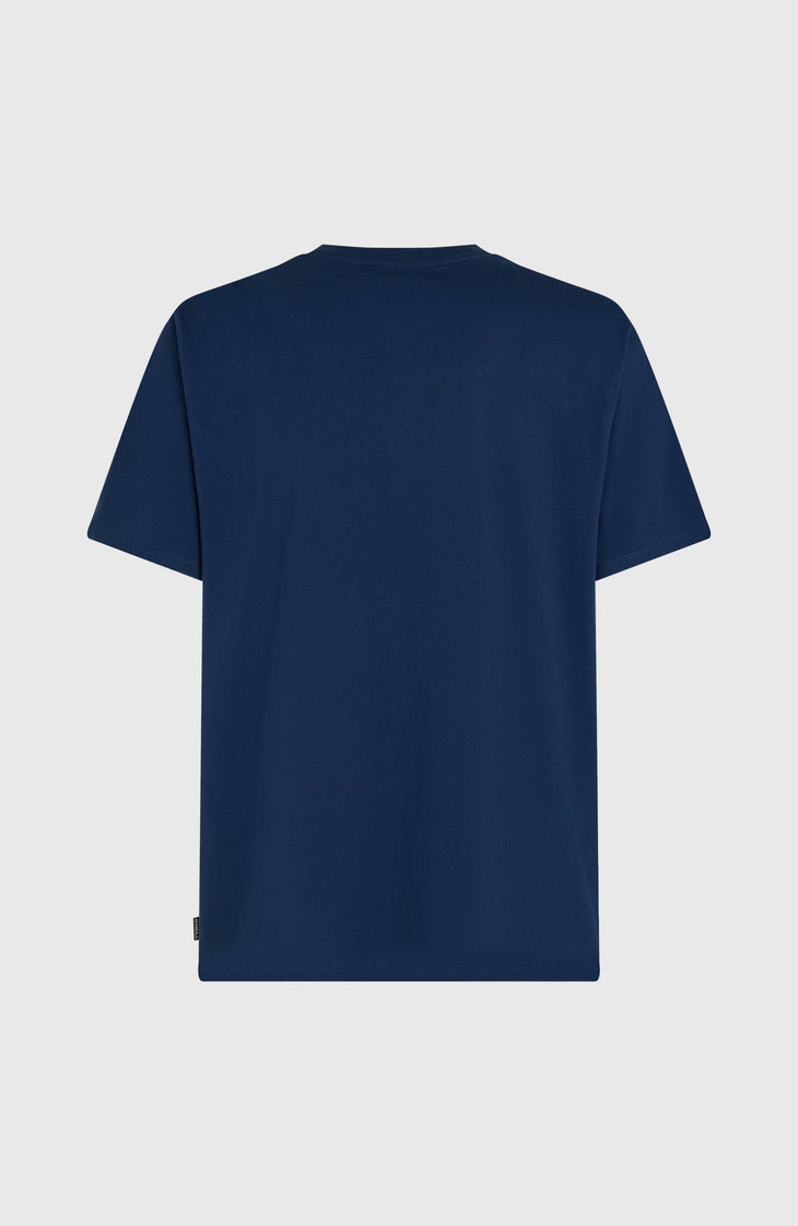 O’Neill Gradient T-Shirt | English Evening