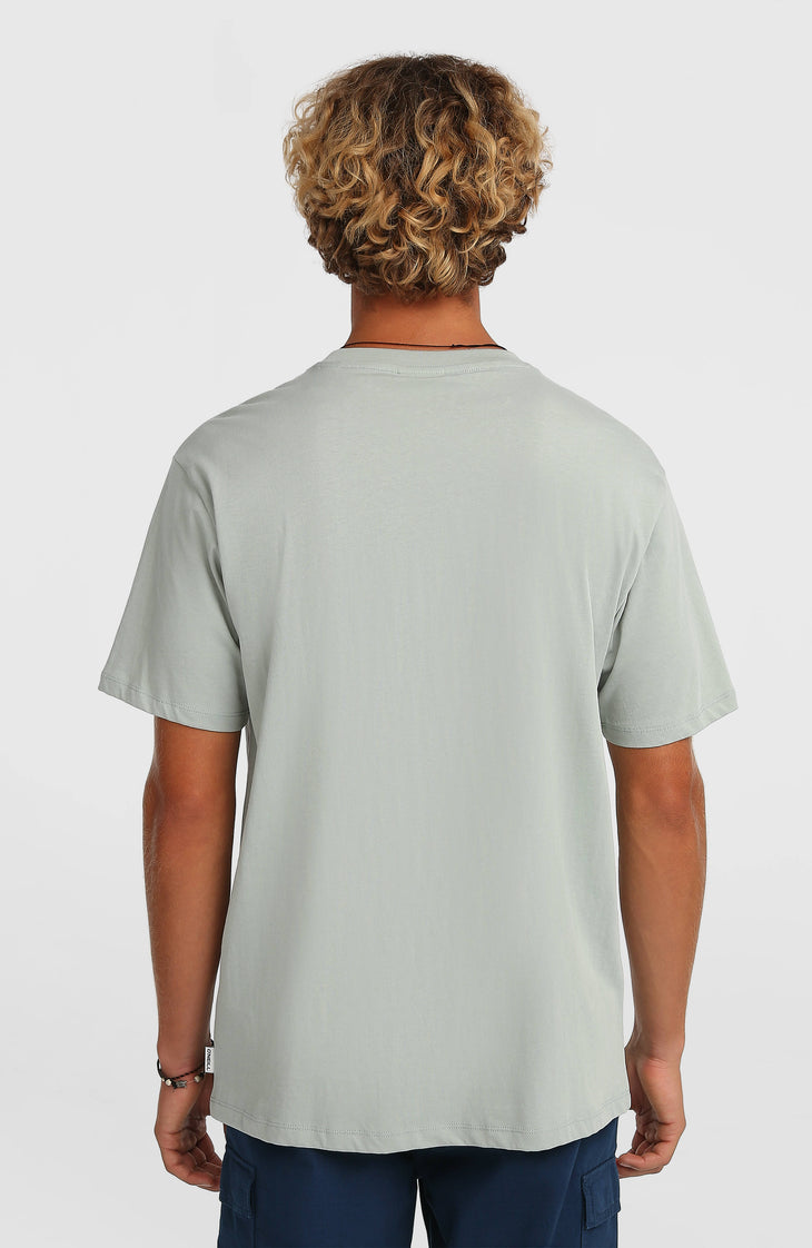 O’Neill Gradient T-Shirt | Marble Arch