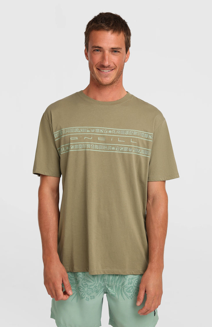 O’Neill Flower Stripe T-Shirt | Avery Fern