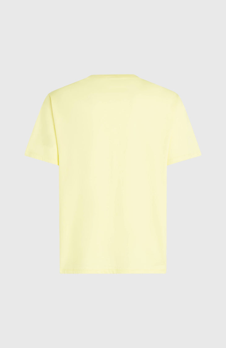 O'Neill Must-Have Graphic T-Shirt | Rainforest Dew