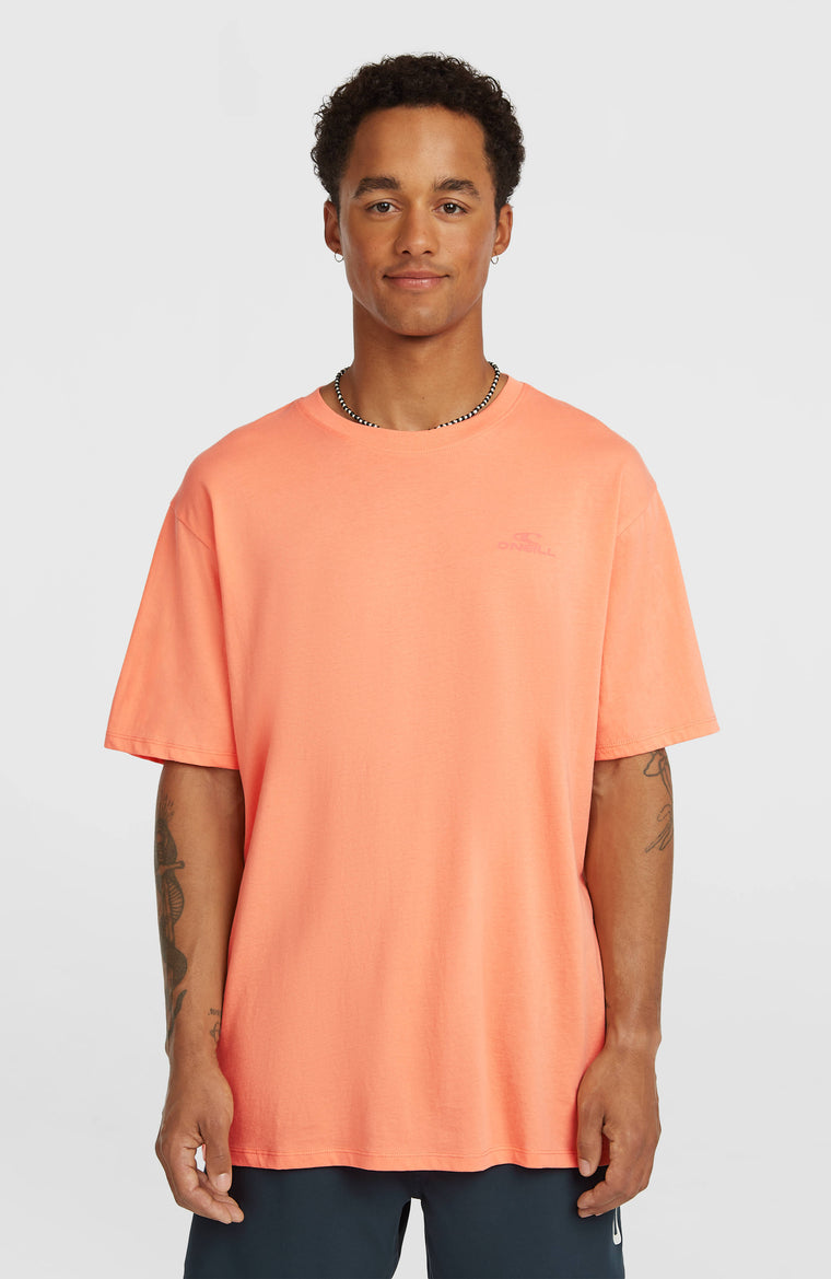 O'Neill Small Logo T-Shirt | Funky Peach