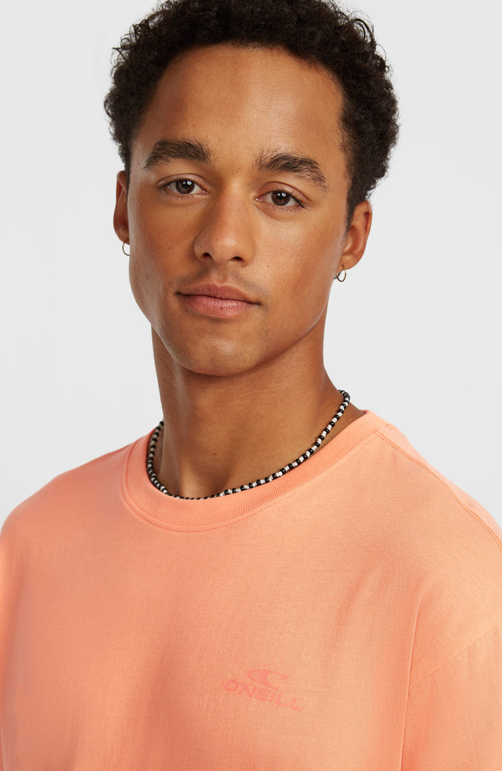 O'Neill Small Logo T-Shirt | Funky Peach