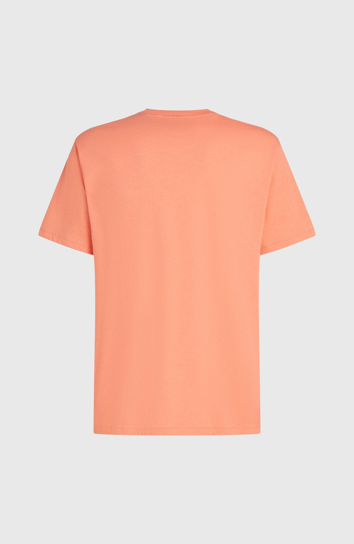 Melange Chest Print T-Shirt | Funky Peach