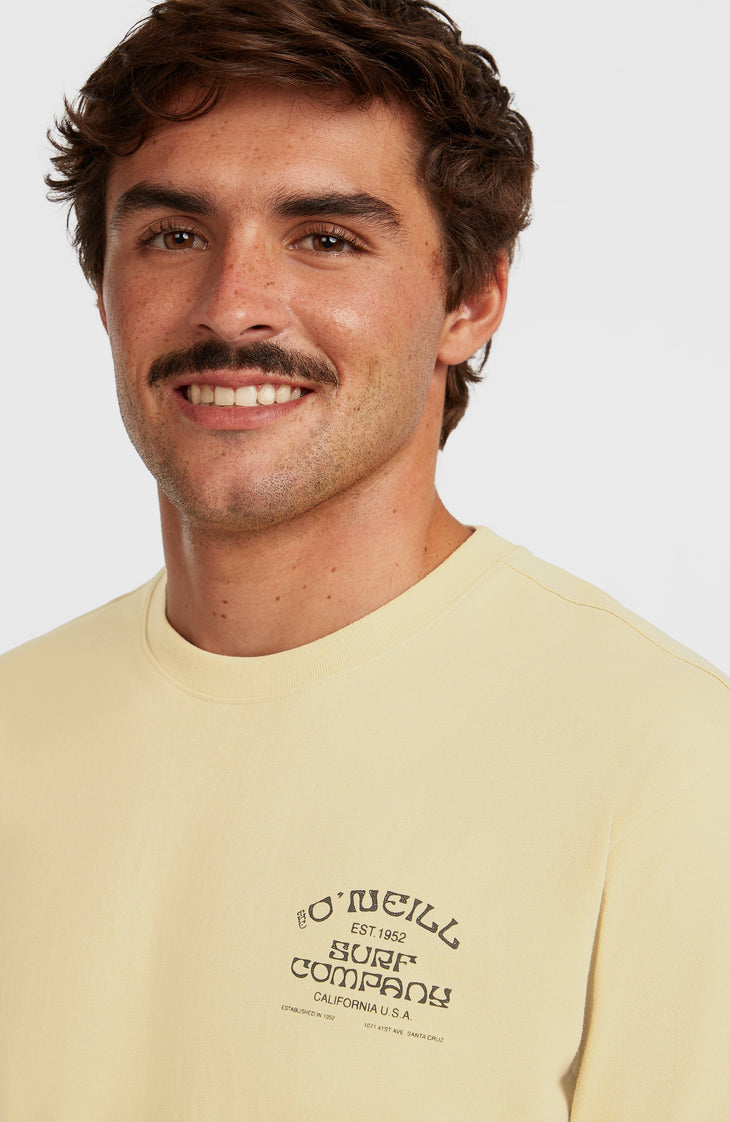 Melange Chest Print T-Shirt | Cocoa Sand
