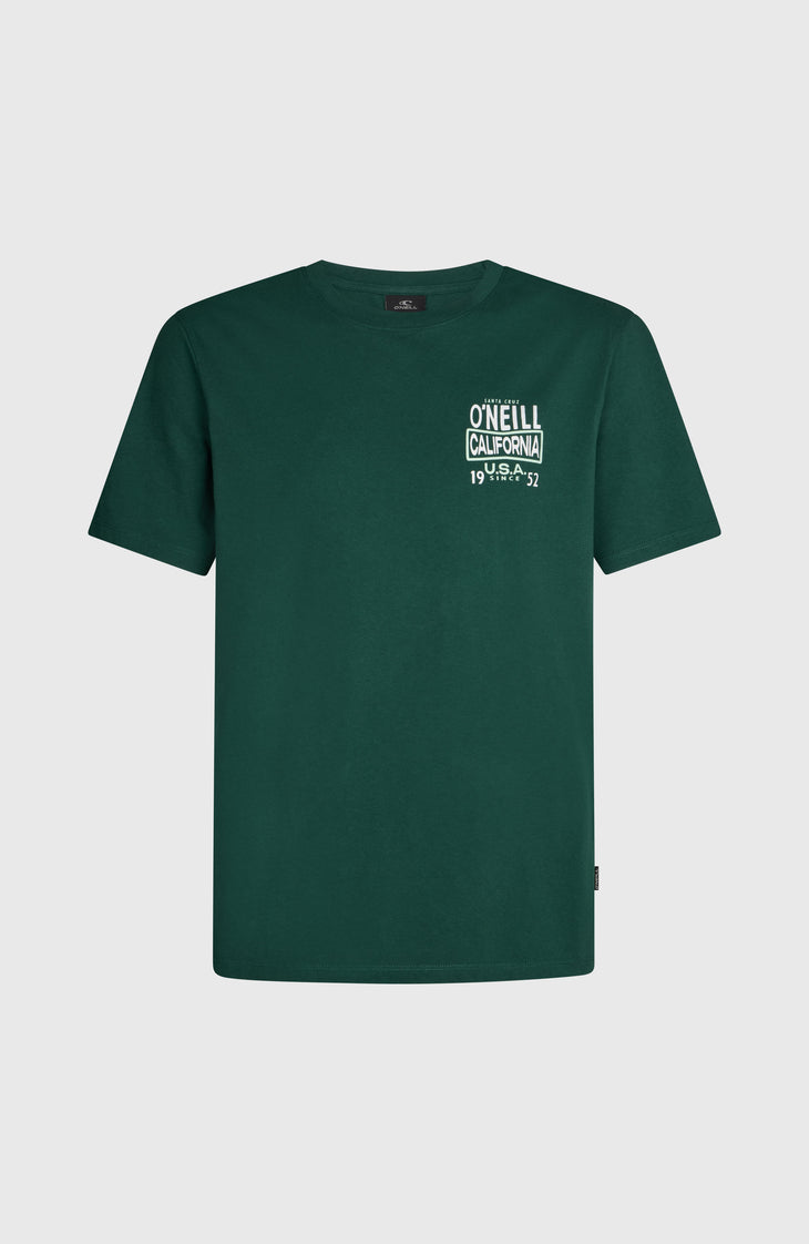 O'Neill Small Logo T-Shirt | Emerald Envy