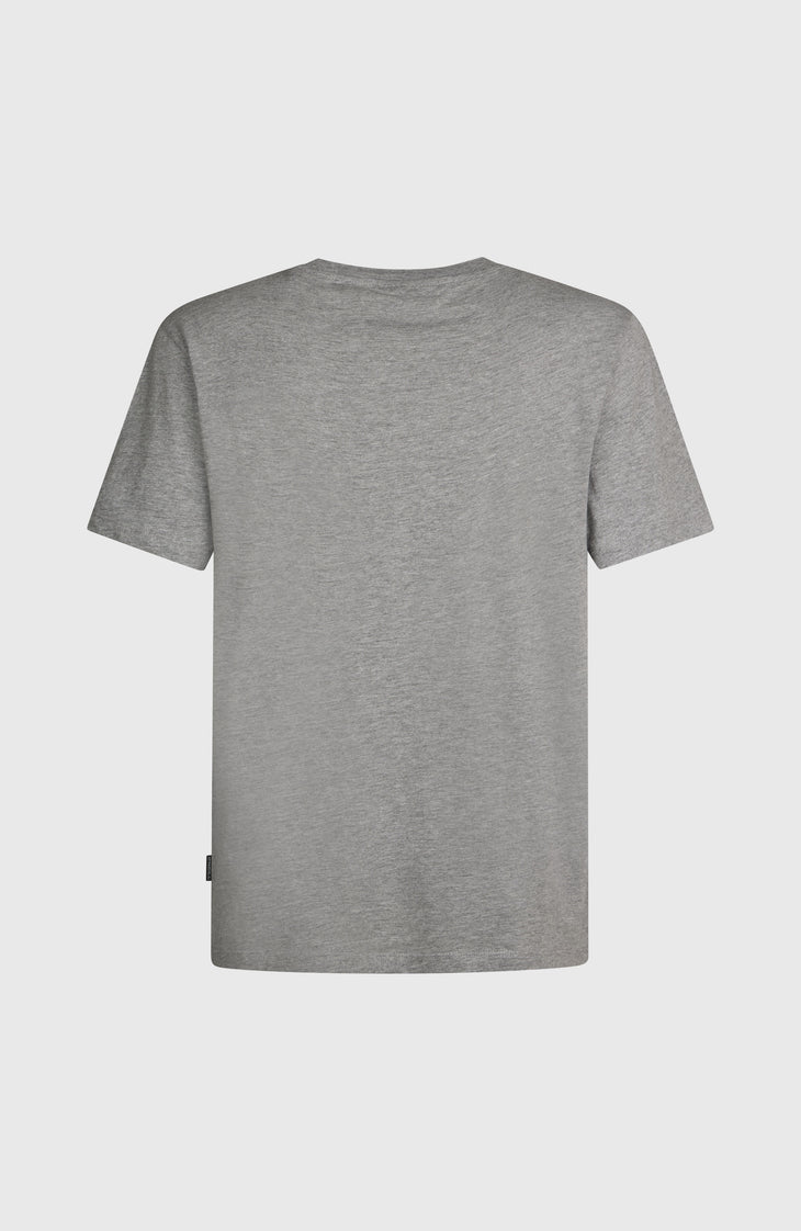 O'NEILL CALI T-SHIRT | Silver Melee
