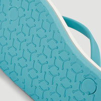 Profile Graphic Sandals | Blue Rainbow Stripe