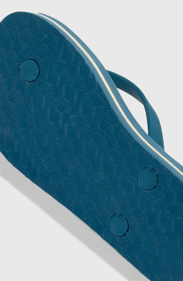 Profile Graphic Sandals | Blue Santa Monica