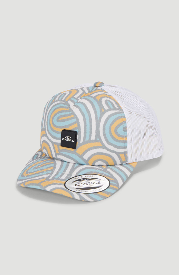 Flood Trucker Cap | Blue Rainbow Stripe